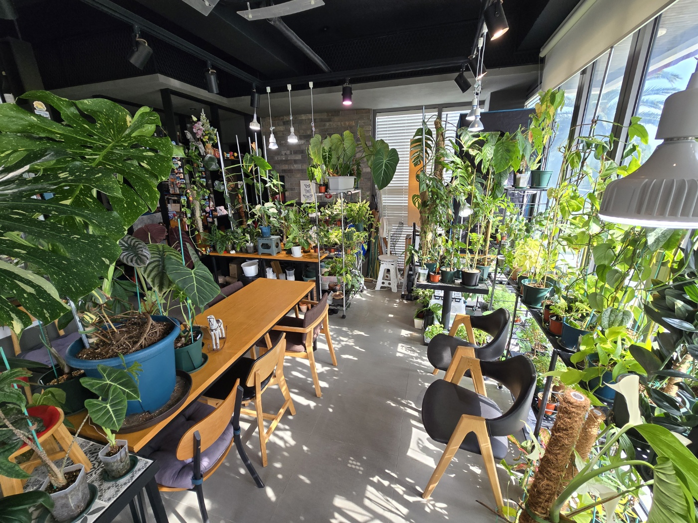 서귀포 빌라노이 이미지 14