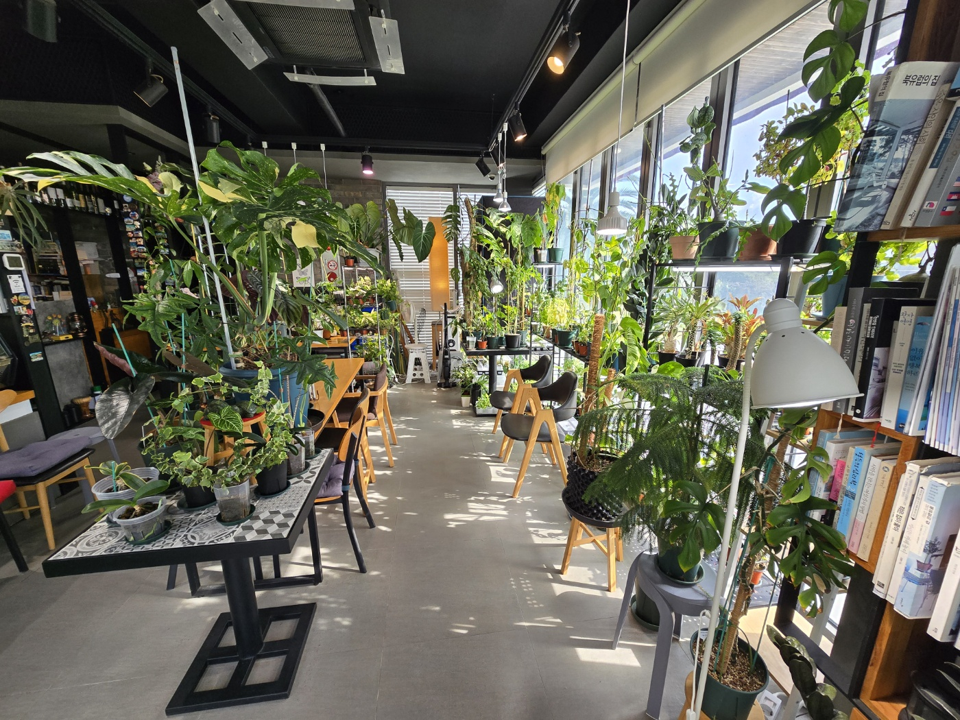 서귀포 빌라노이 이미지 27