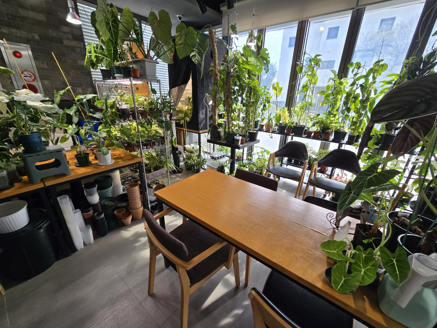 서귀포 빌라노이 이미지 36