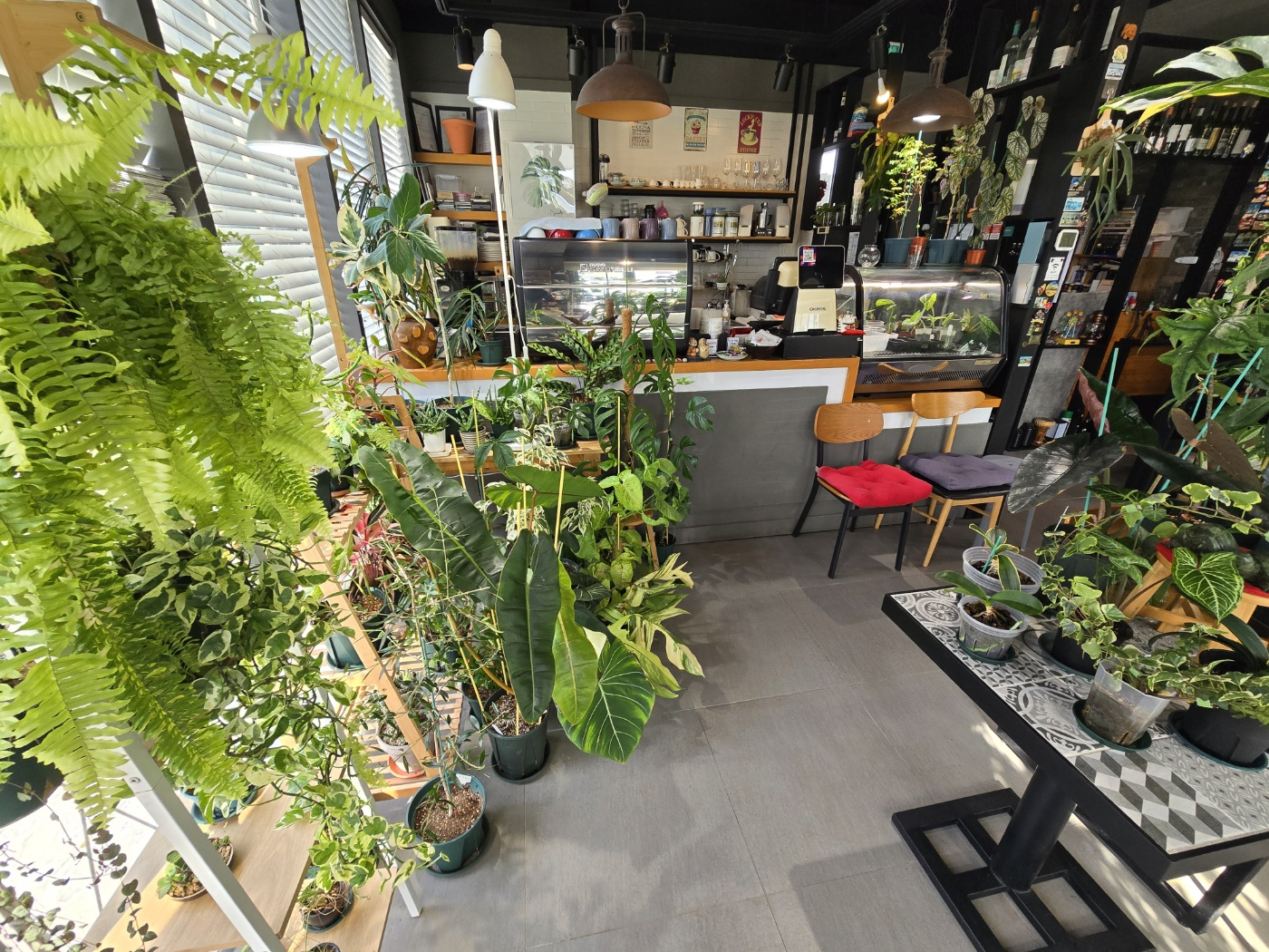 서귀포 빌라노이 이미지 2