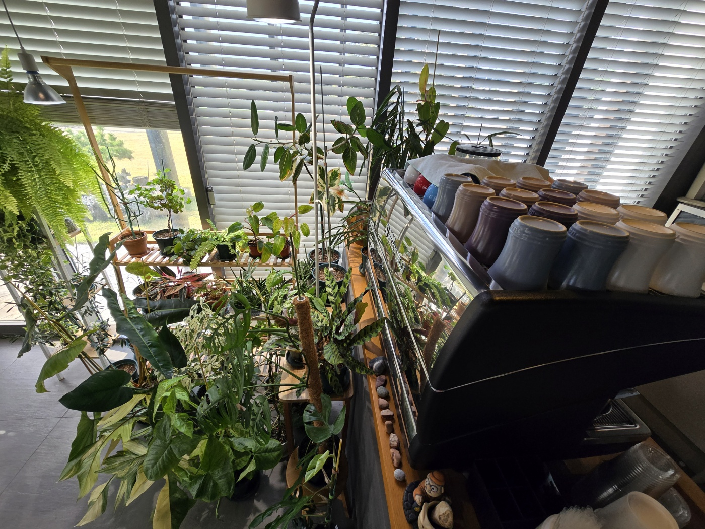 서귀포 빌라노이 이미지 5