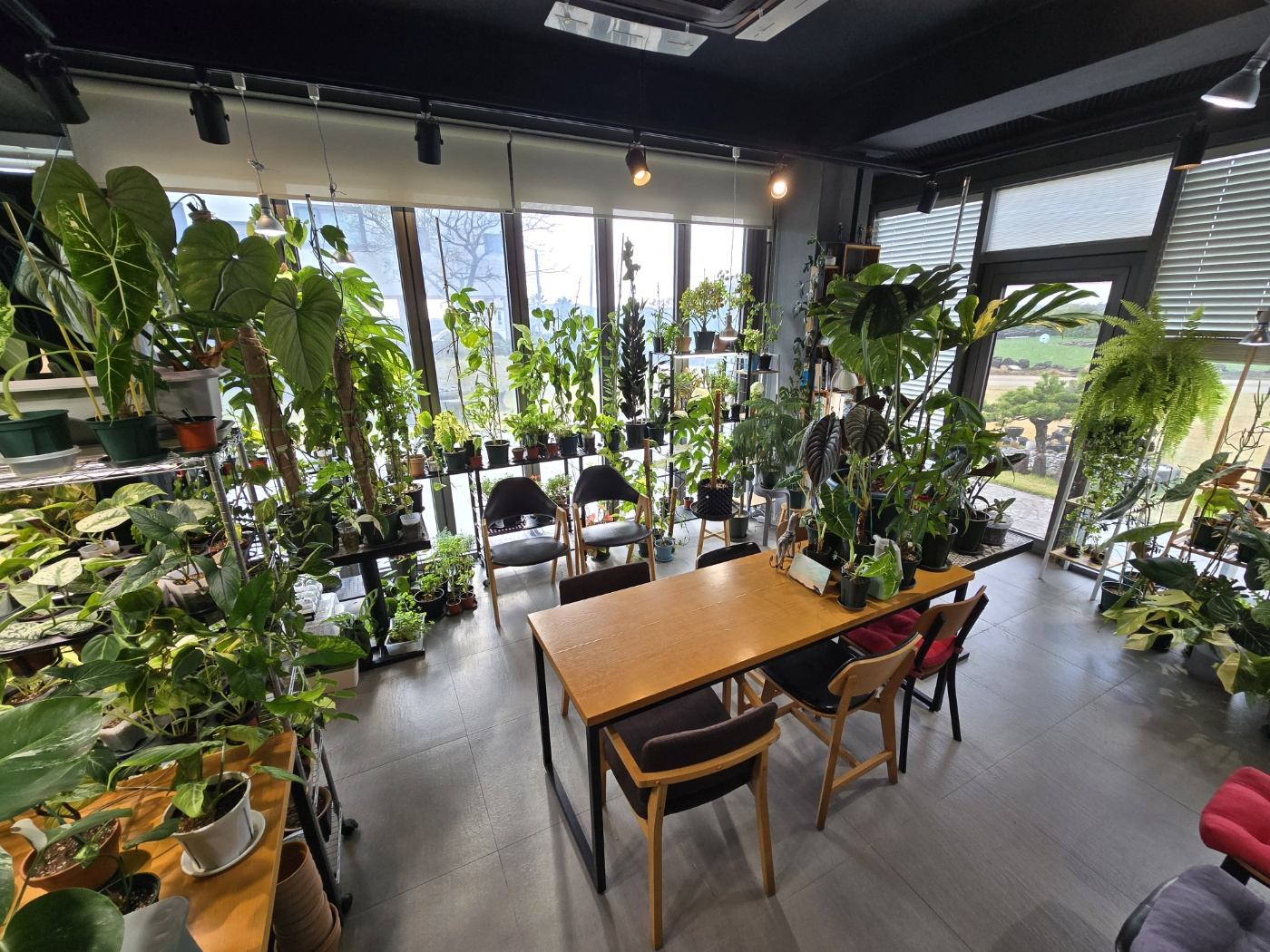 서귀포 빌라노이 이미지 2