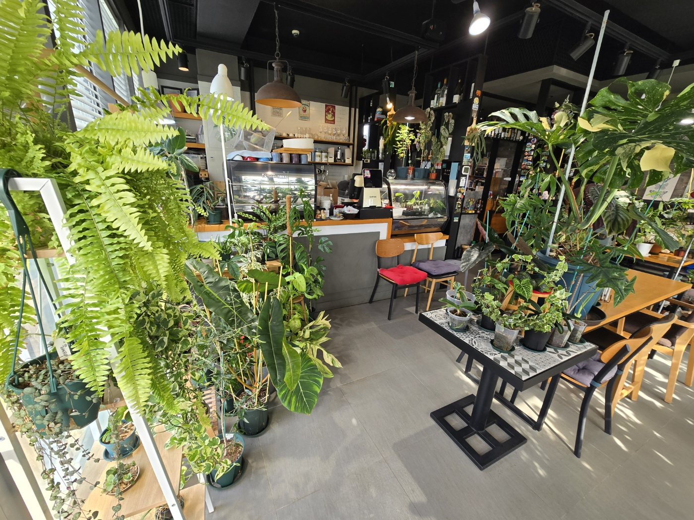 서귀포 빌라노이 이미지 19