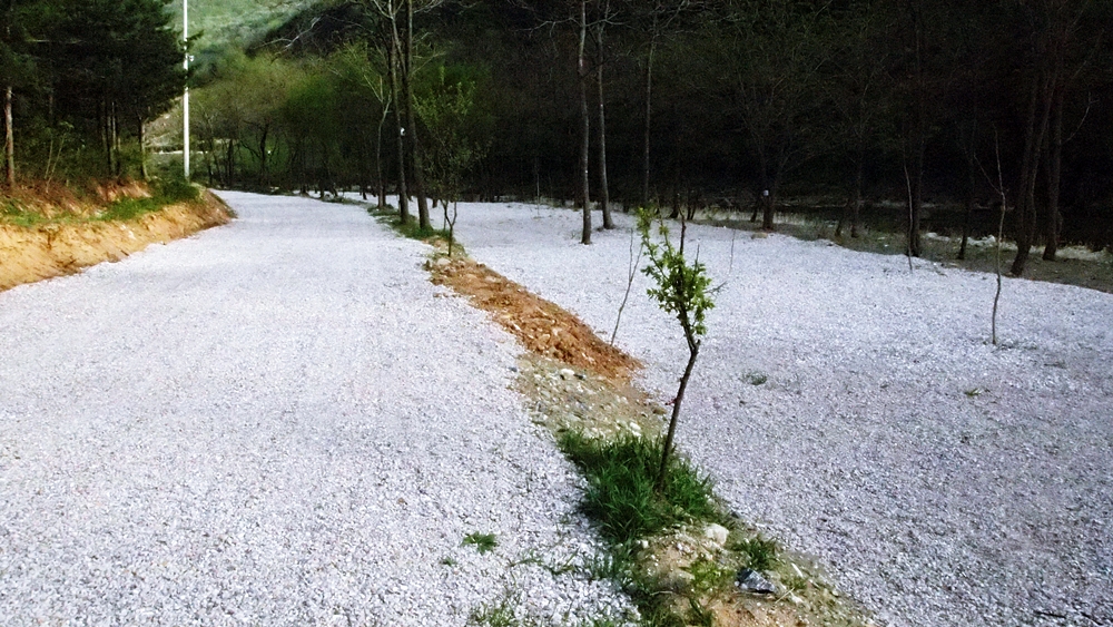 https://yaimg.yanolja.com/v5/2025/04/20/04/68047b82058103.81766358.jpg