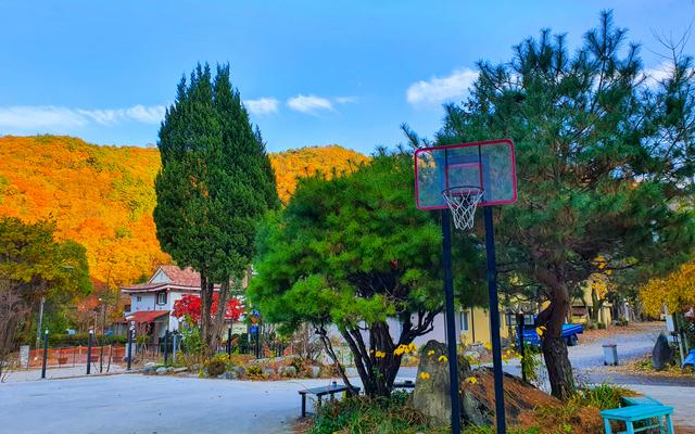 무주 여행숲 백암산장펜션