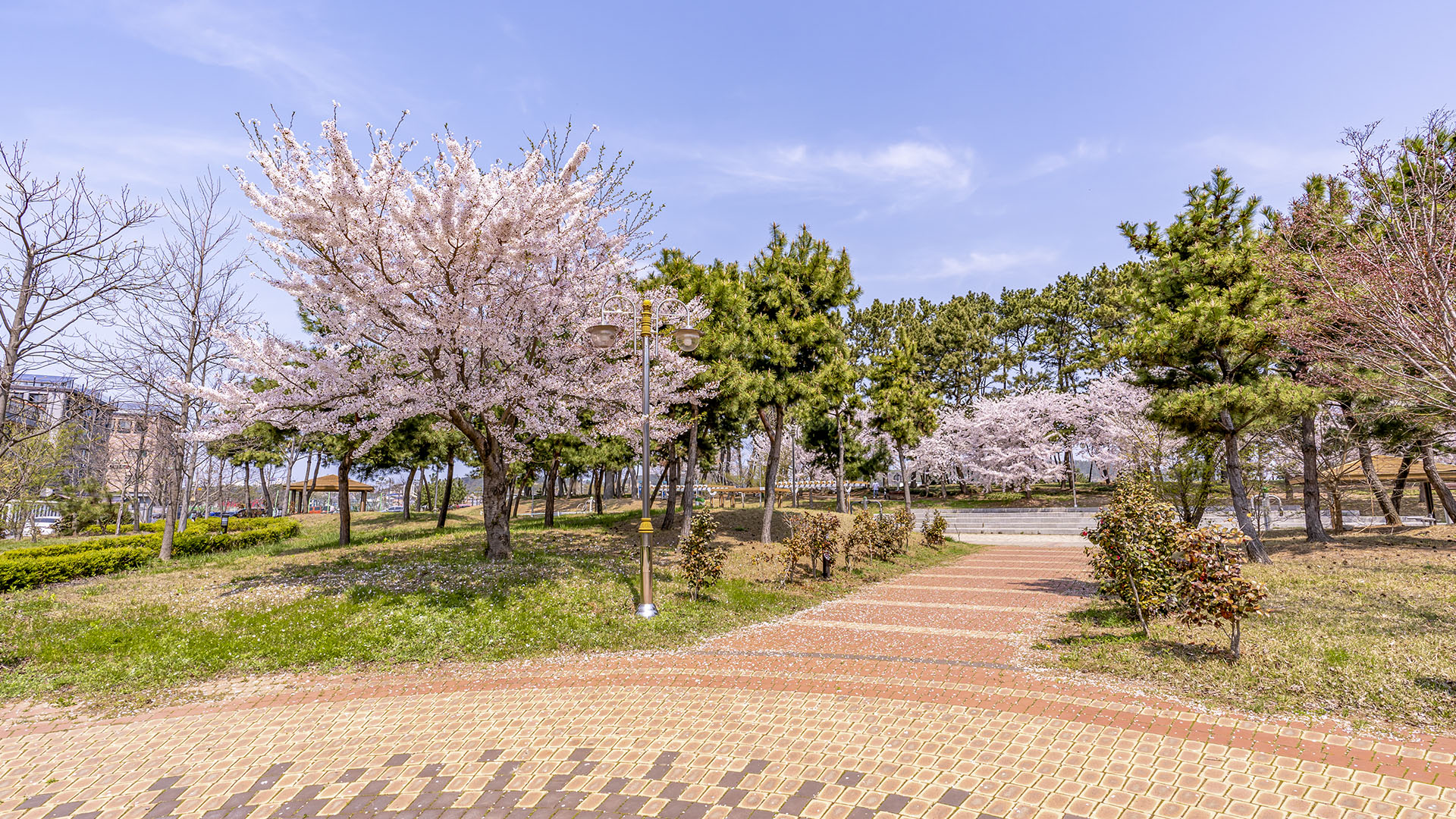 보령(대천) 하루펜션 이미지 15