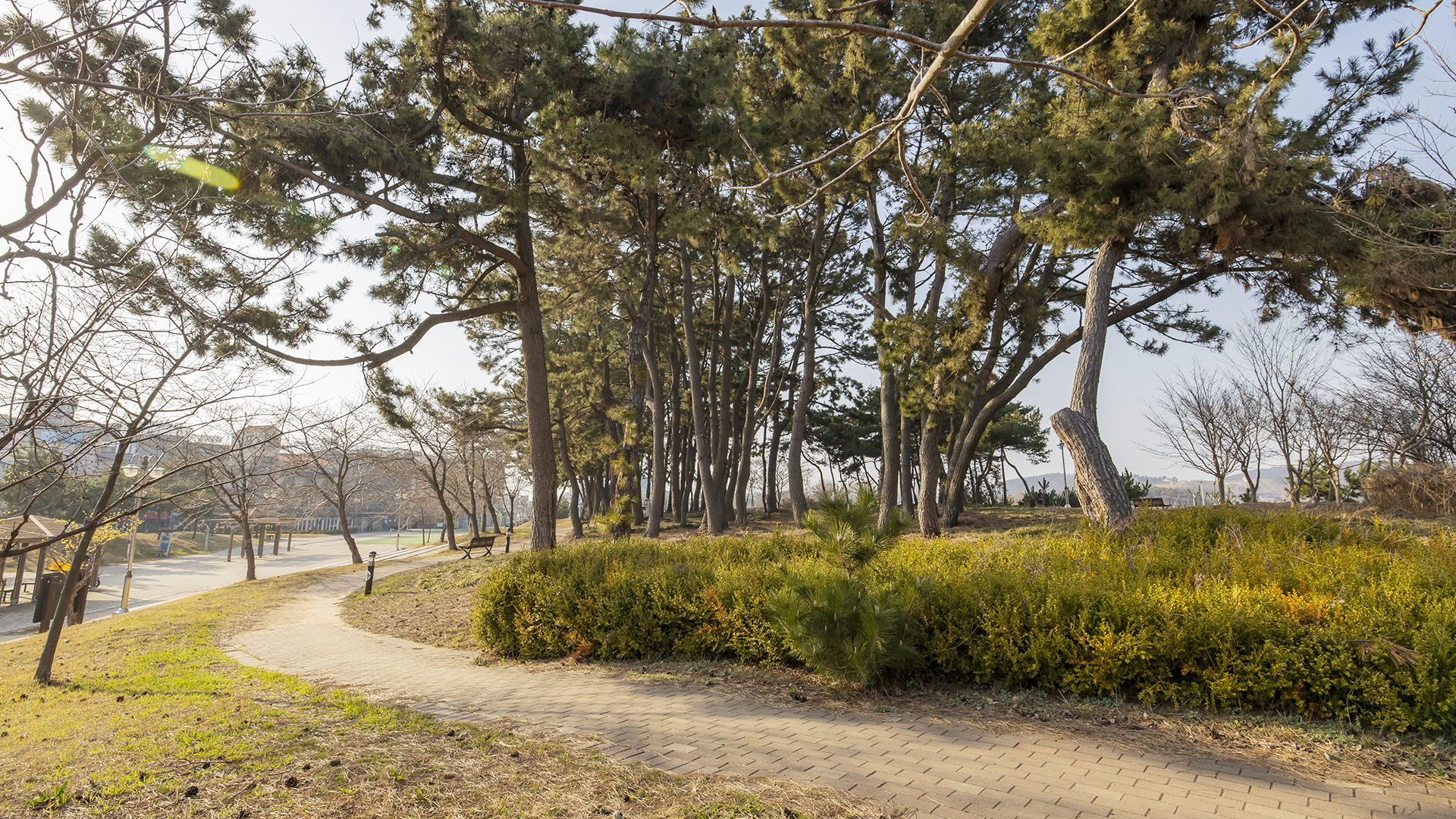 보령(대천) 하루펜션 이미지 14