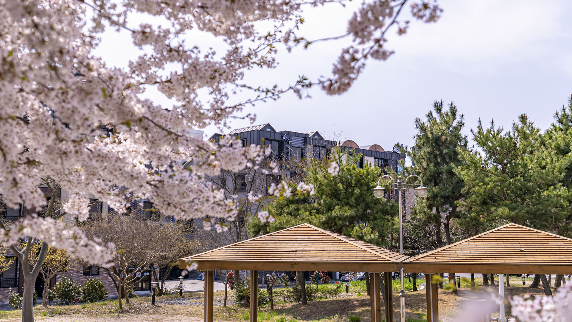 보령(대천) 하루펜션 이미지 18