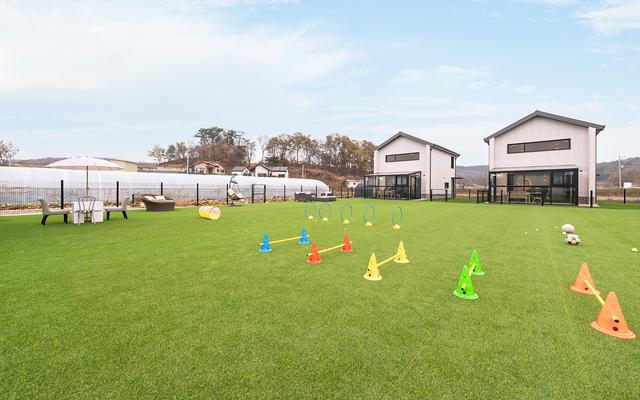 강화 하루멍 애견펜션