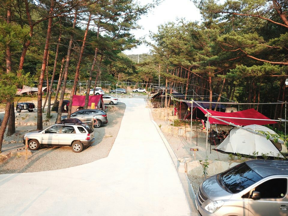 https://yaimg.yanolja.com/v5/2025/04/20/14/68050aeaa9b1c6.68931008.jpg