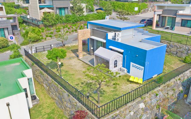 연천 스테이도기