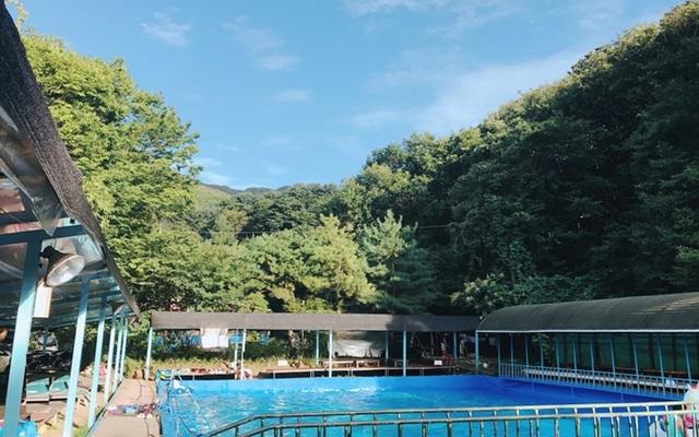 양주 비타민펜션&캠핑장