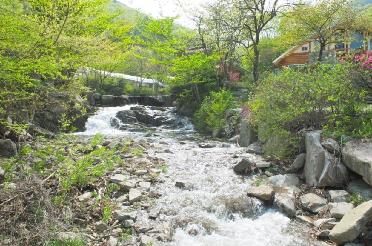 https://yaimg.yanolja.com/v5/2025/04/20/21/680560c0d054d0.27118163.jpg
