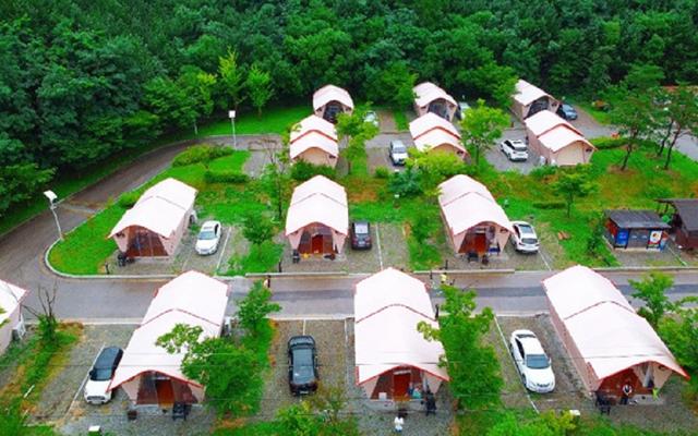 청송 주노글램핑 청송점