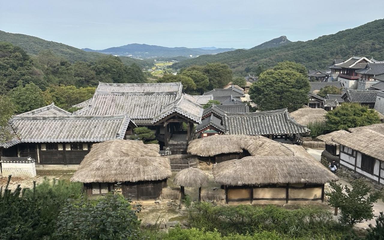 용인대 장금파크캠핑장 사진