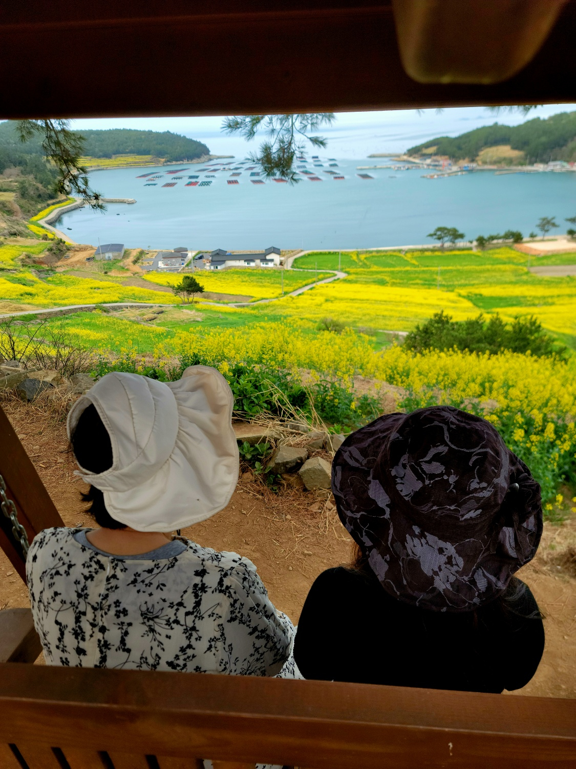 완도 청산도올레펜션 전망