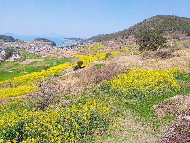 완도 청산도올레펜션 전망