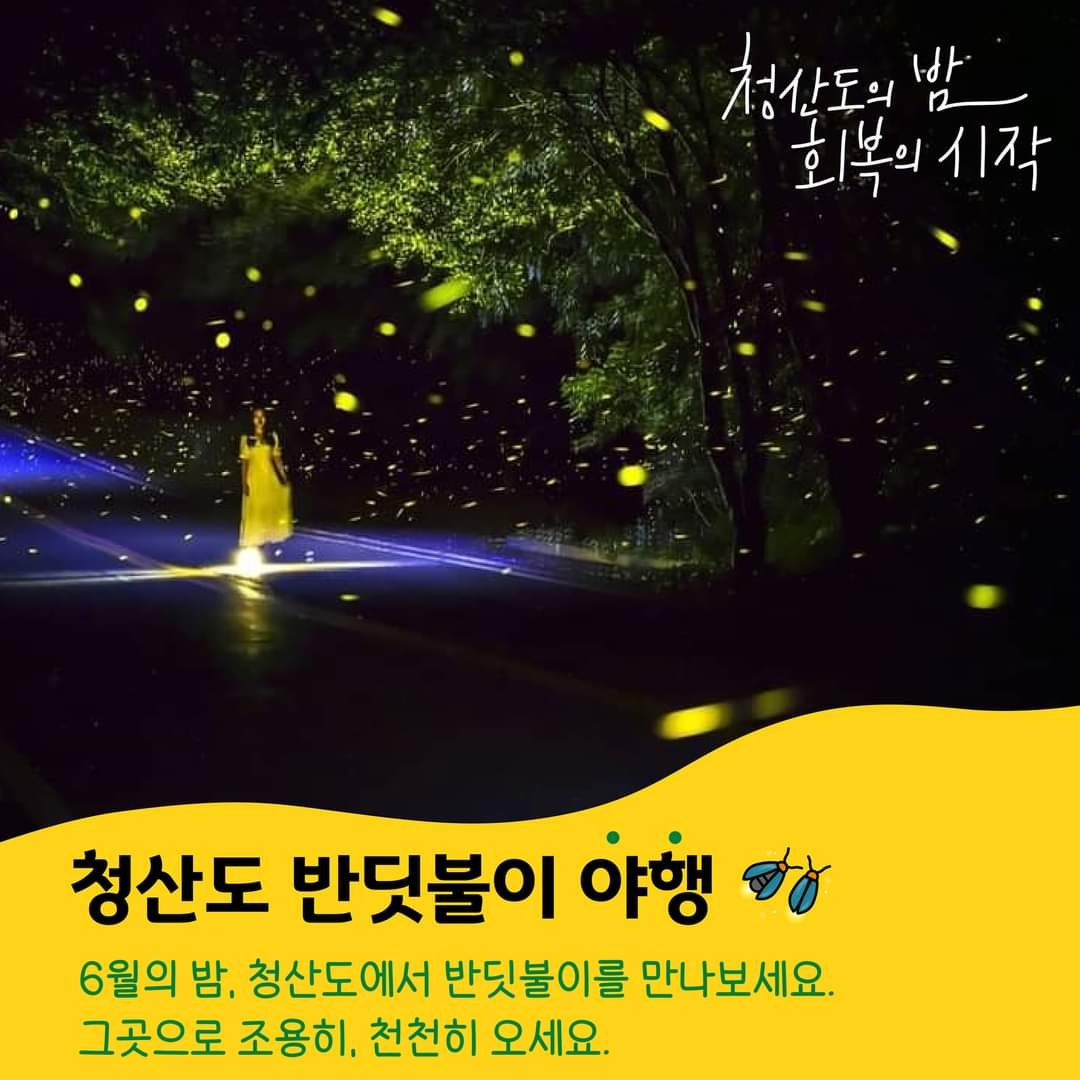 완도 청산도올레펜션 전망