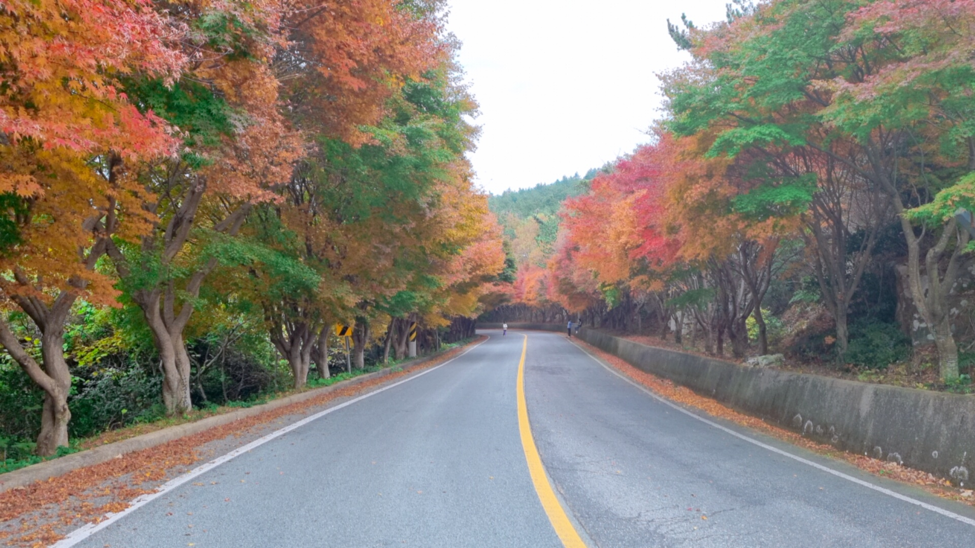 https://yaimg.yanolja.com/v5/2025/04/21/09/68060af09a1b37.17817189.jpg