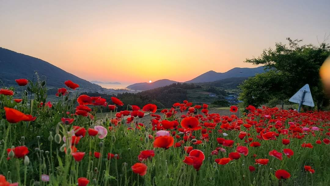 https://yaimg.yanolja.com/v5/2025/04/21/09/68060afd5cc2b8.46356339.jpg