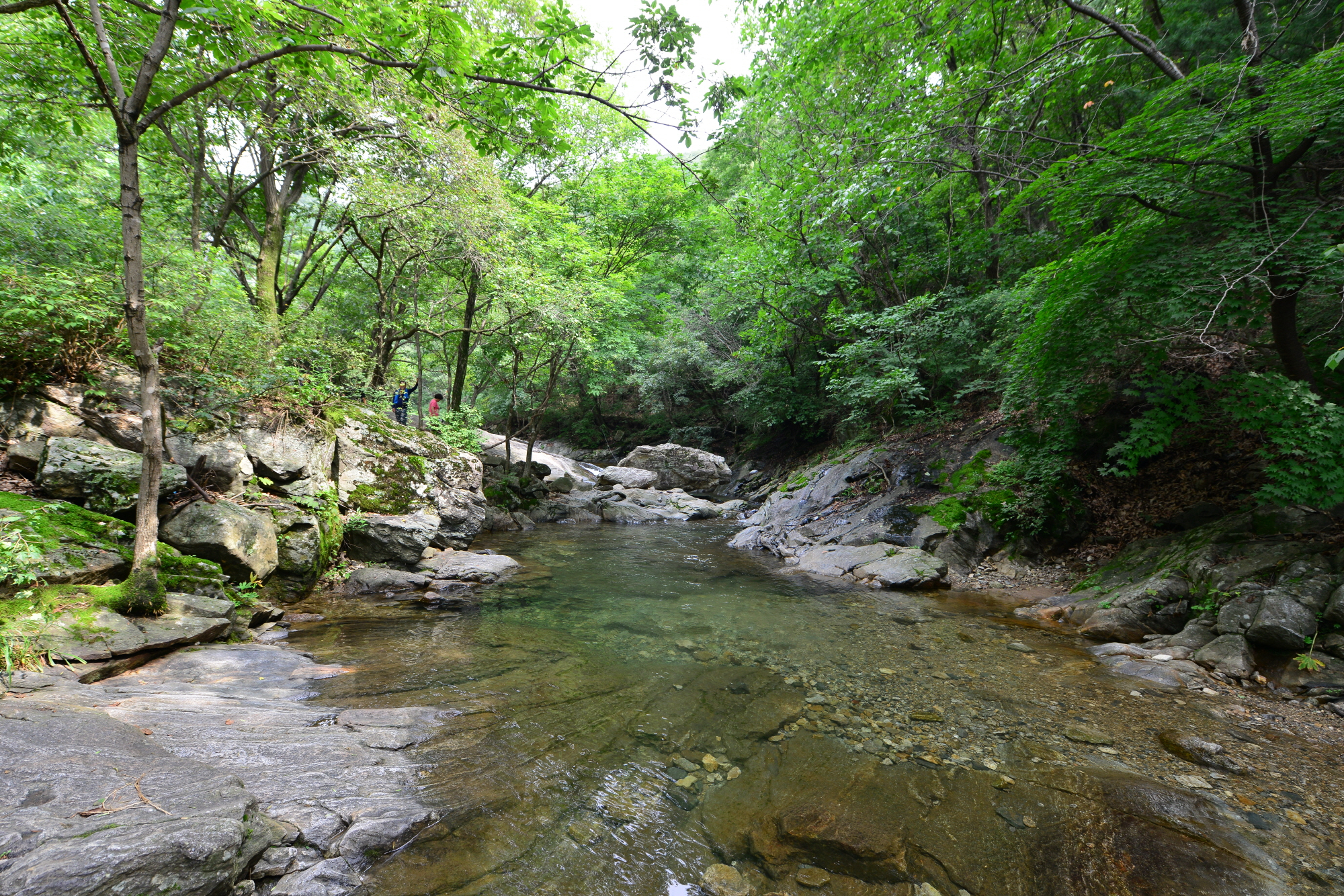 https://yaimg.yanolja.com/v5/2025/04/21/11/680630051eb723.71555826.jpg