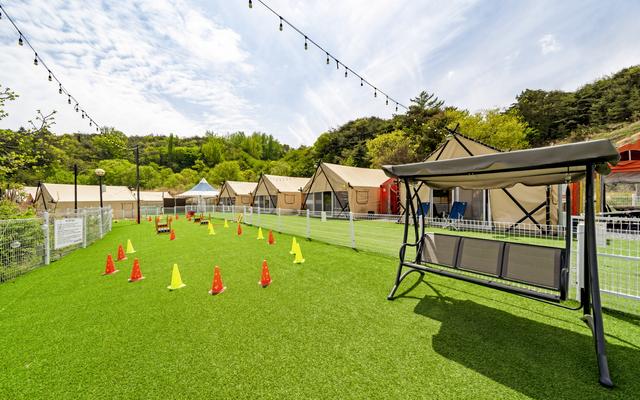 청도 신난다애견글램핑