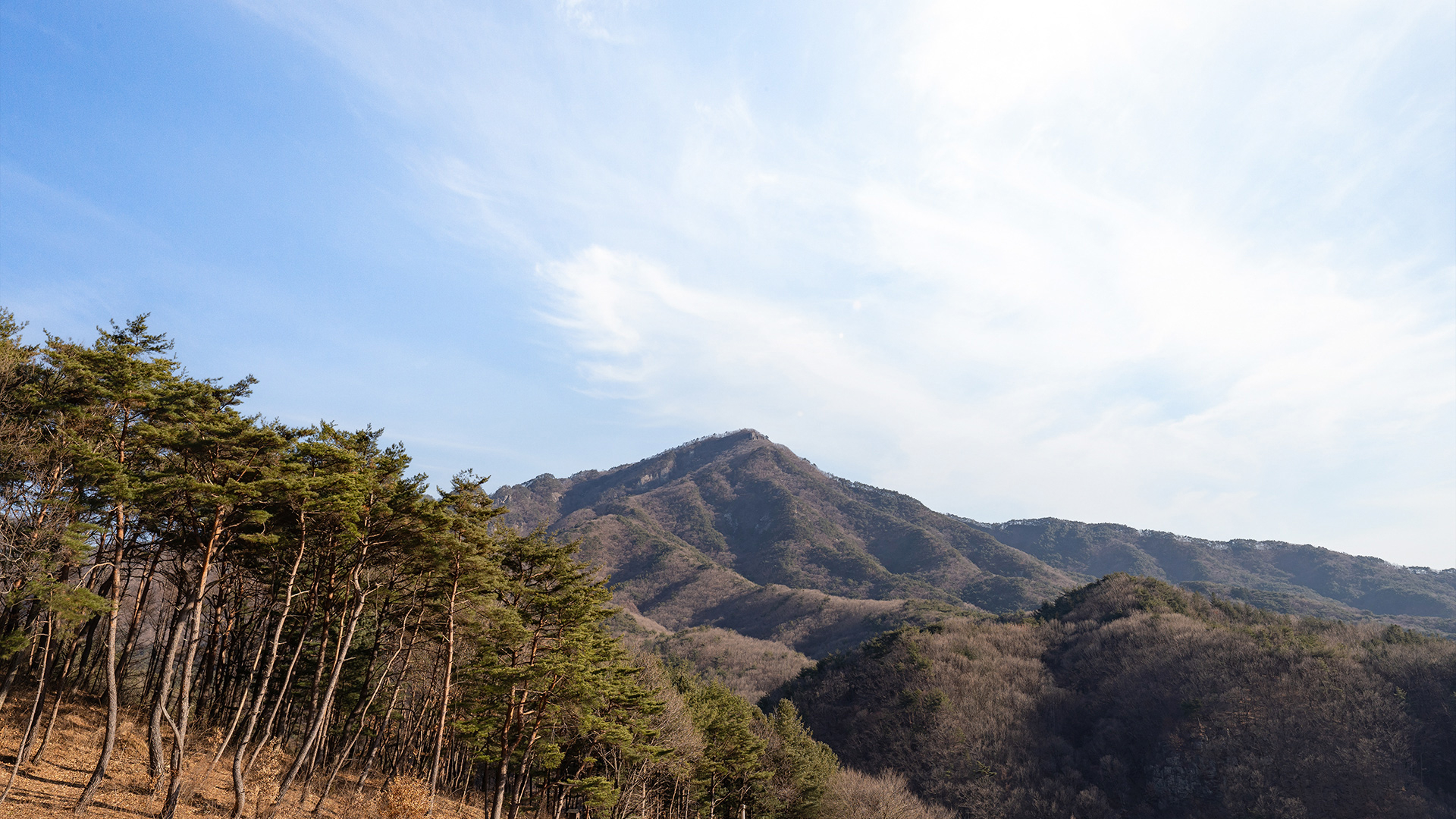 문경 새재리아리조트&펜션 전망