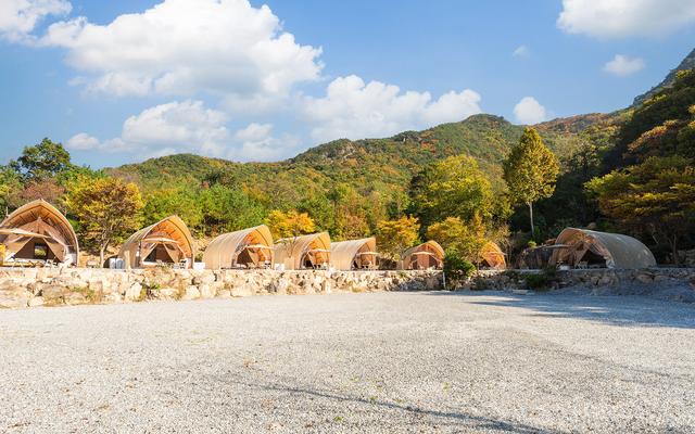 영동 바우어글램핑