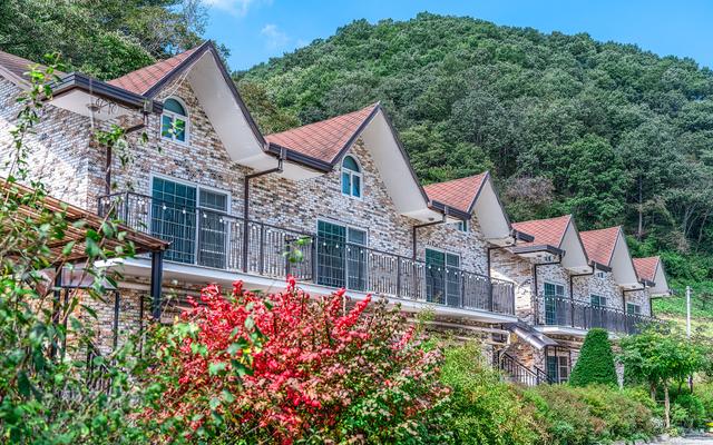 대전 파파지붕&마마펜션