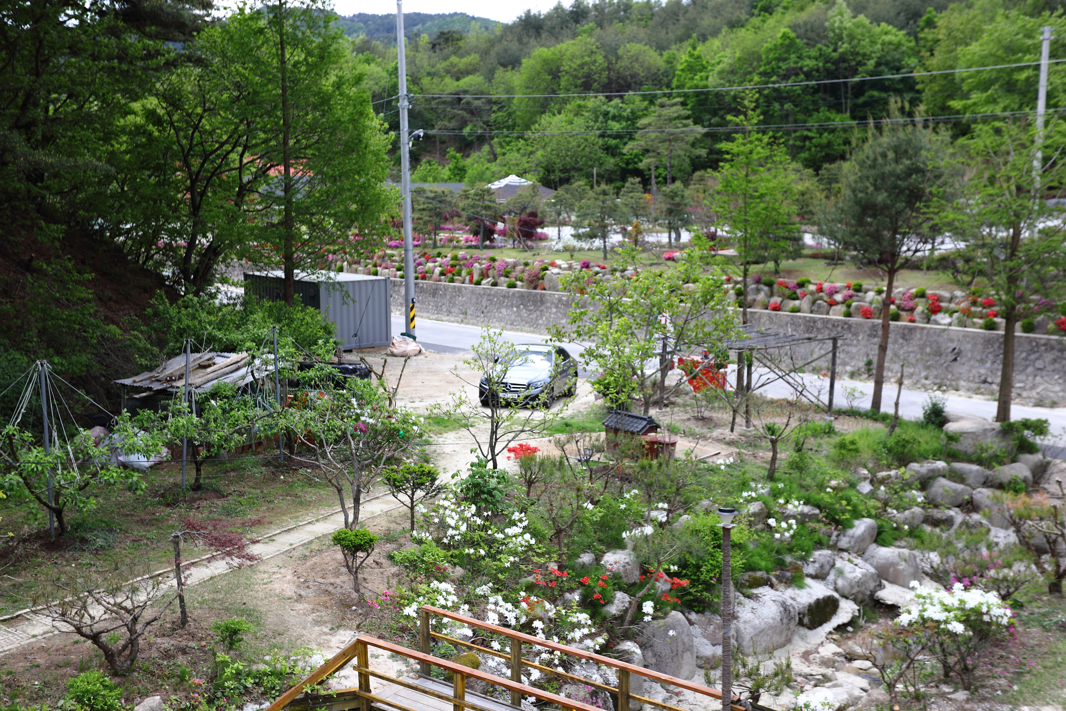 https://yaimg.yanolja.com/v5/2025/04/23/07/68089a42384155.22522159.jpg