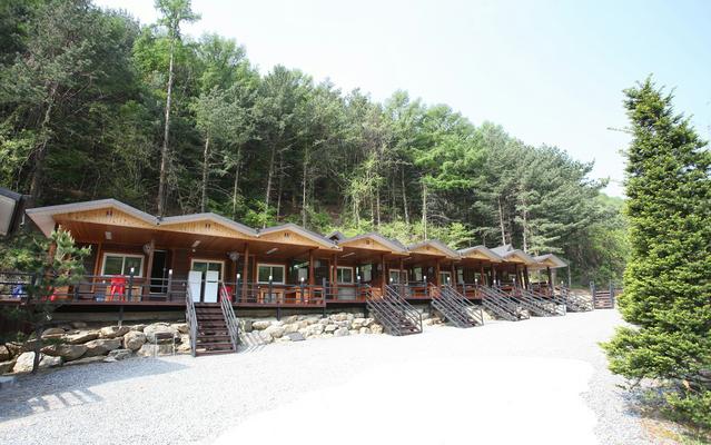 영주 소백산 비로오토파크캠핑&펜션