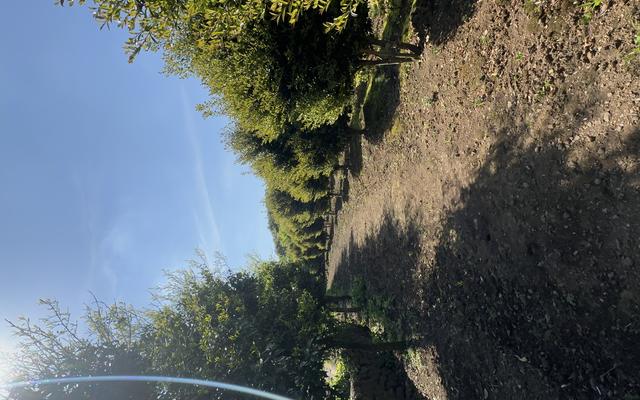 리뷰 대표 이미지