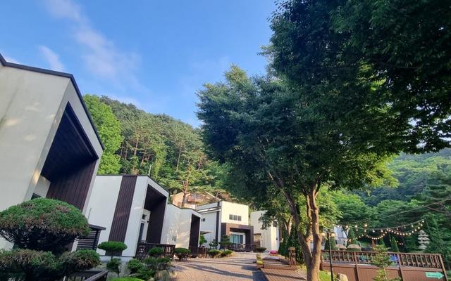 인제 힐링펜션 리뮤