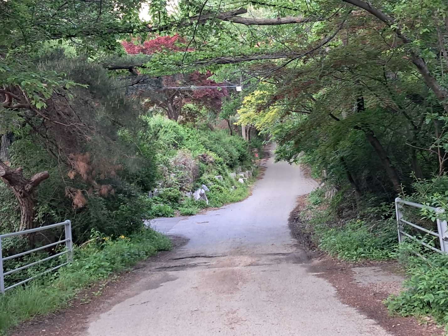 https://yaimg.yanolja.com/v5/2025/05/19/01/682a8b308c0c29.66958415.jpg
