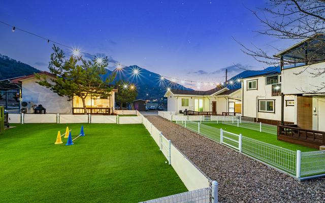 단양 댕댕이 애견펜션