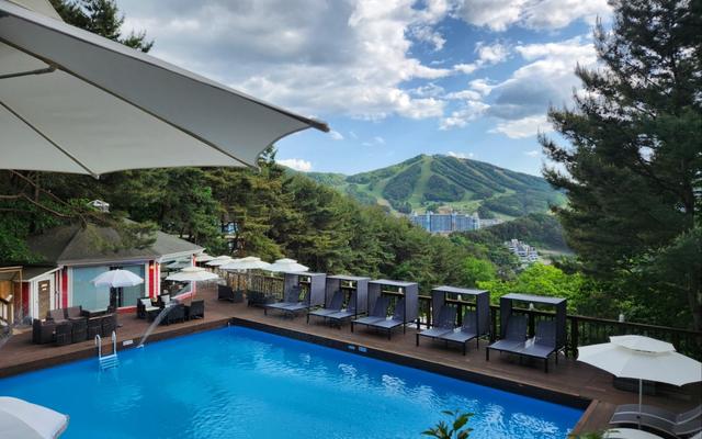 횡성 숲속의연인별펜션