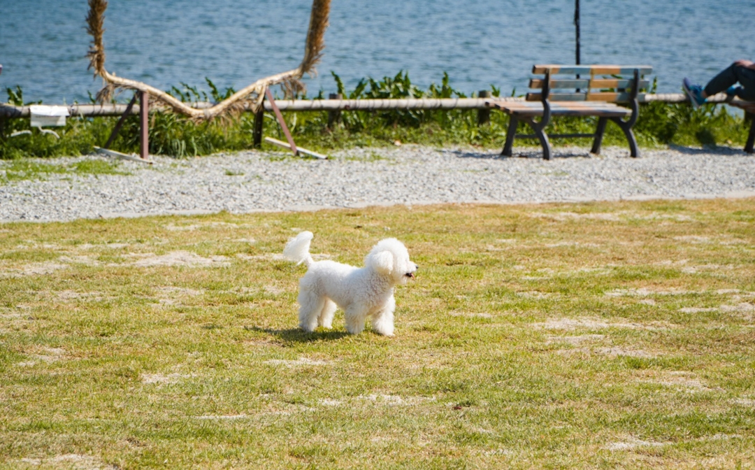 https://yaimg.yanolja.com/v5/2025/05/29/04/6837dbf3a9f3a8.63919900.jpg