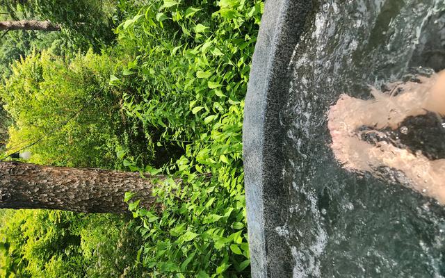 리뷰 대표 이미지