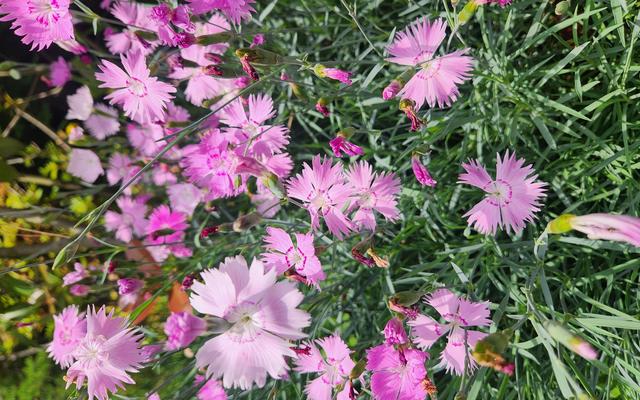 리뷰 대표 이미지