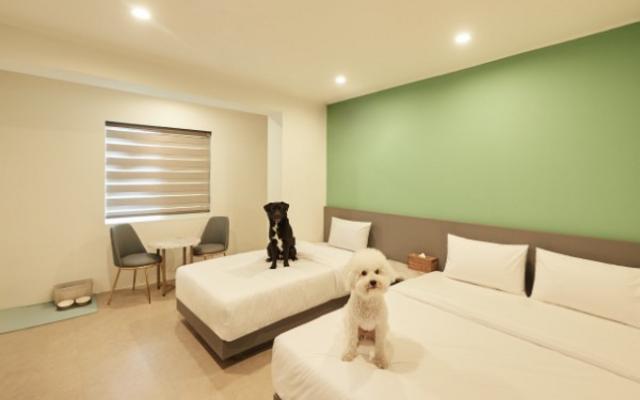 속초 도글리아 호텔 (DOGLIA HOTEL)