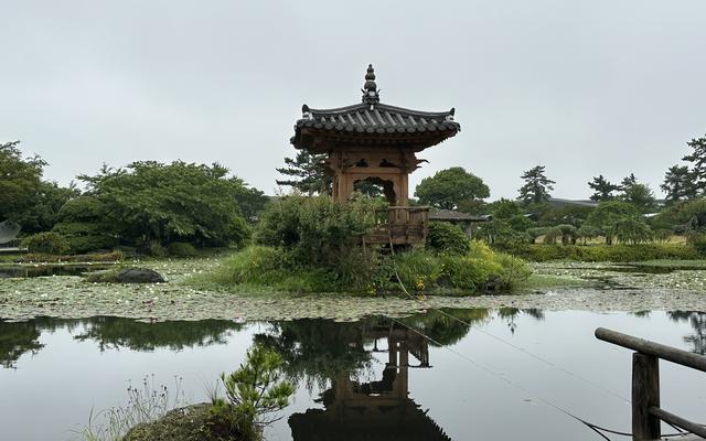 리뷰 대표 이미지
