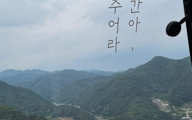 리뷰 대표 이미지
