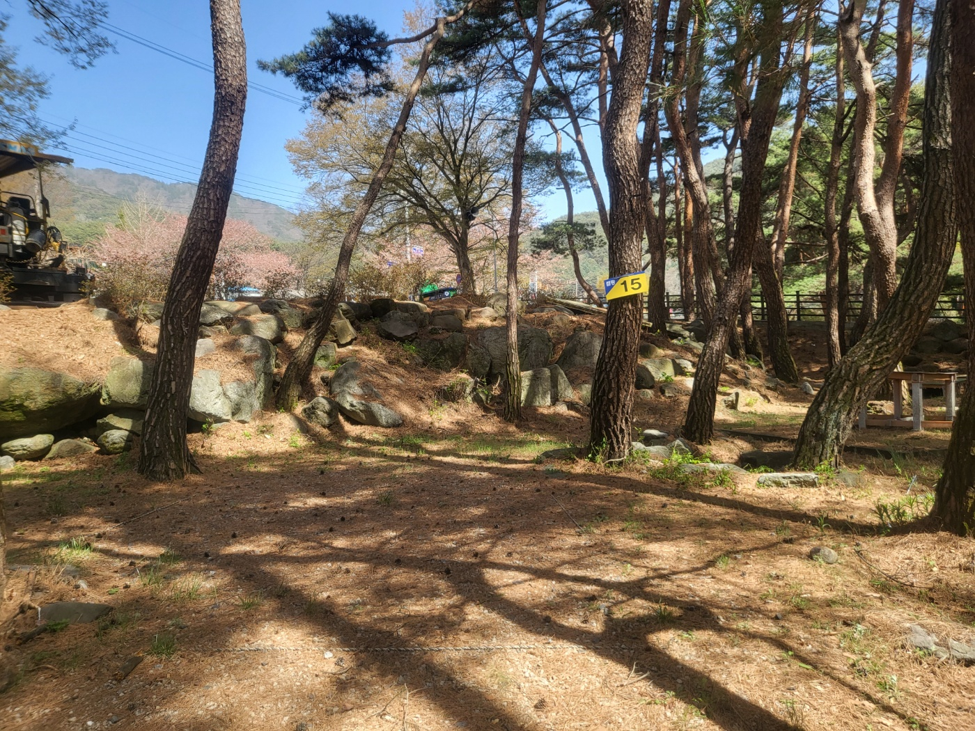 https://yaimg.yanolja.com/v5/2025/06/18/10/6852963c628b43.61247478.jpg