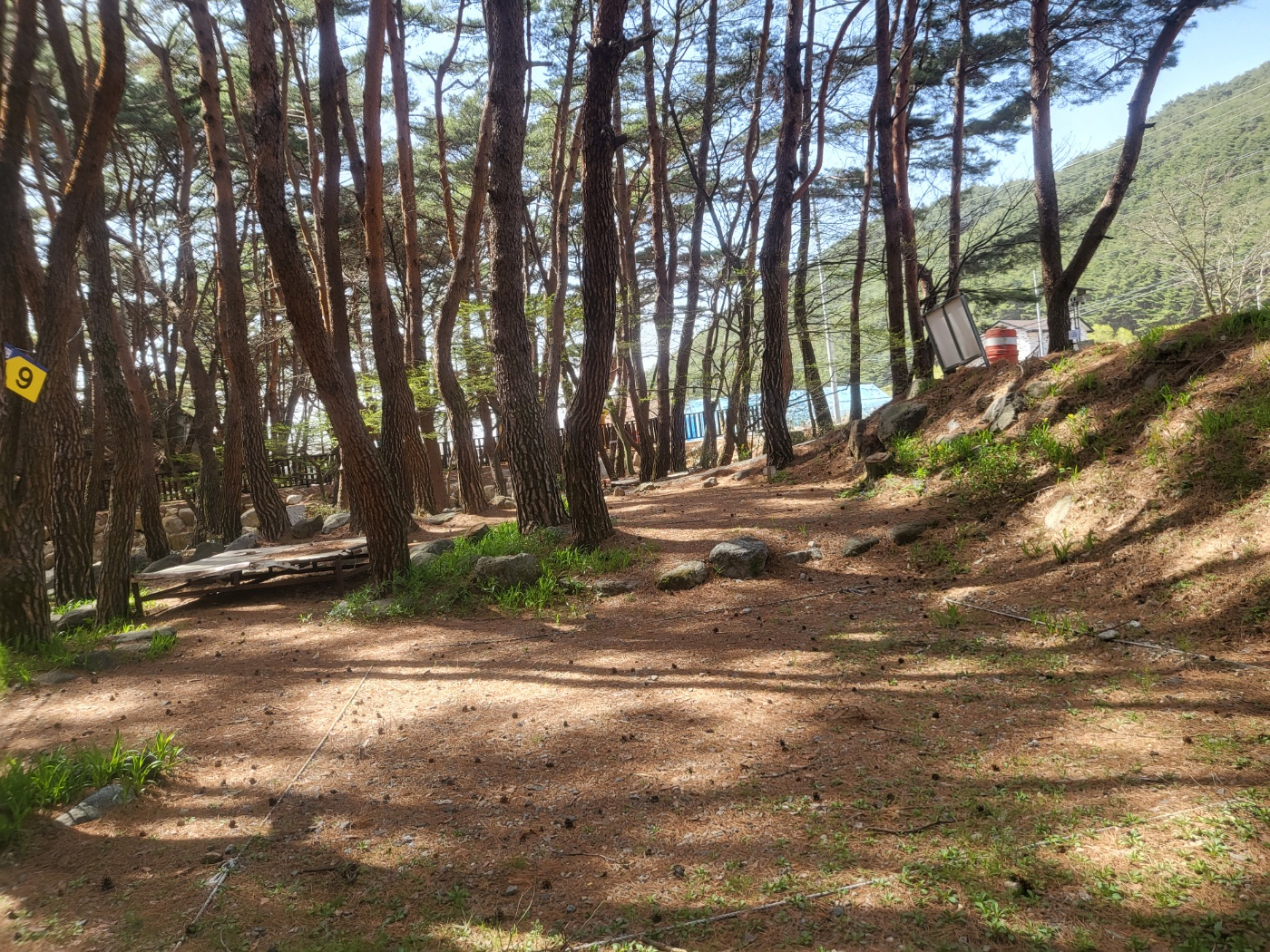 https://yaimg.yanolja.com/v5/2025/06/18/10/6852963c73f009.44147173.jpg