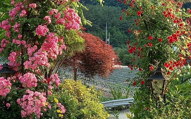 썸네일_4