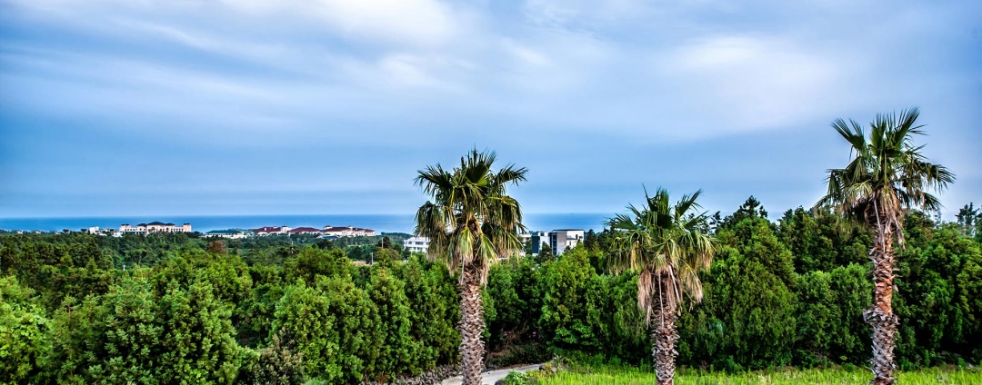 https://yaimg.yanolja.com/v5/2025/06/20/03/6854d5f76b7852.55381327.jpg