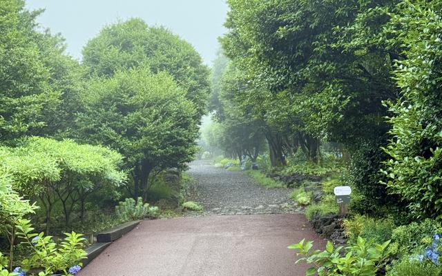 리뷰 대표 이미지