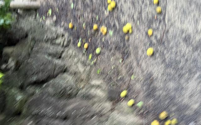 리뷰 대표 이미지