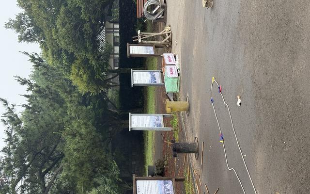 리뷰 대표 이미지