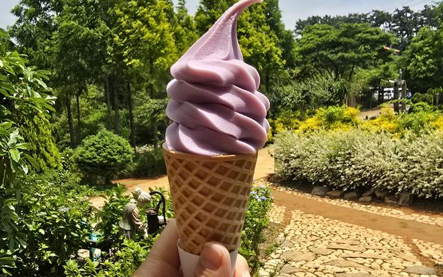 리뷰 대표 이미지